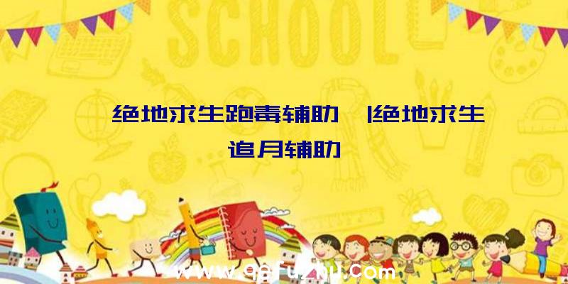 「绝地求生跑毒辅助」|绝地求生追月辅助